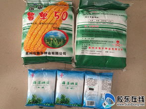 招遠警方開展 假鹽換真 健康伴你行 活動圖